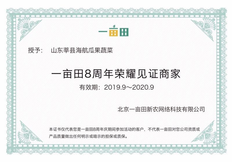 山东大红硬果西红柿西红柿番茄硬度好耐运输产地直供