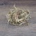 水蜈蚣,道地药材,质优价实,品质保证,药典标准一公斤起批