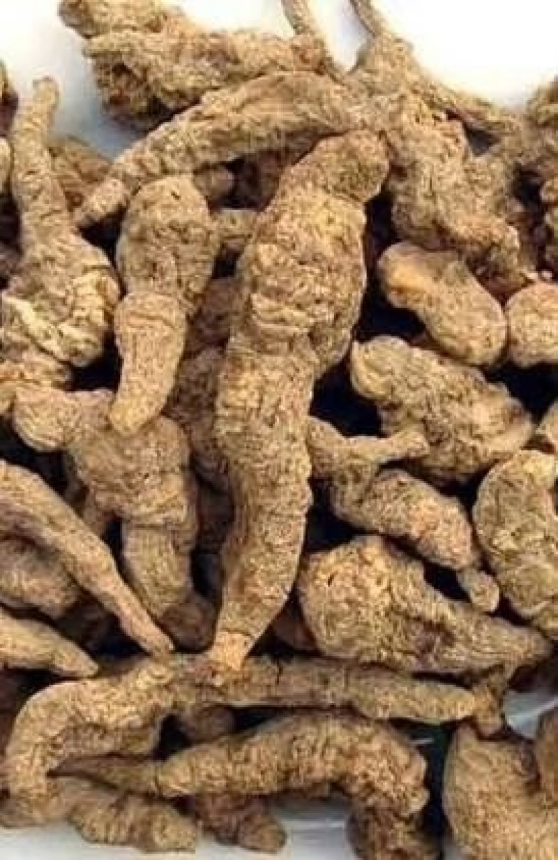河南焦作水洗无硫怀地黄大量供应