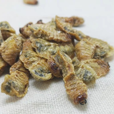 蛴螬,道地药材，质优价实，品质保证，药典标准一公斤起批