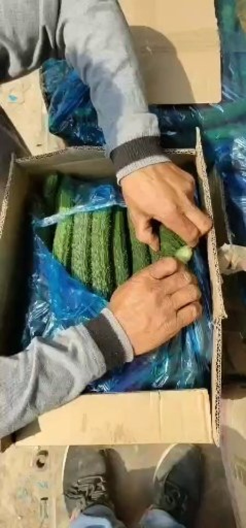 密刺黄瓜25公分以上干花带刺嫁接瓜条直颜色黑油亮量大
