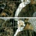 动物类