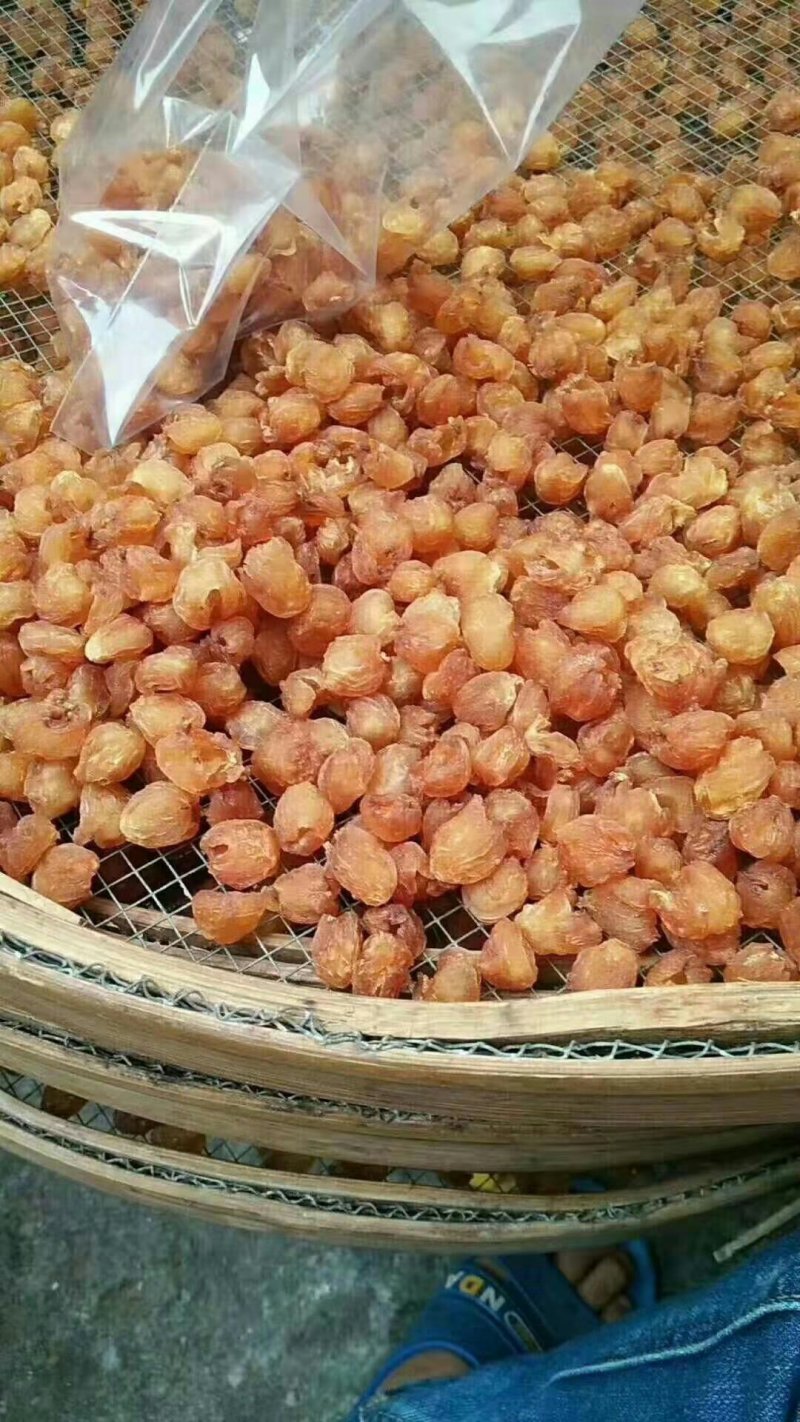 桂圆肉（龙眼干）