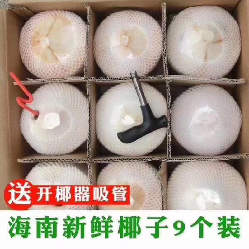 海南椰子椰青自家加工厂做得就是品质让客户买的放心喝的舒心