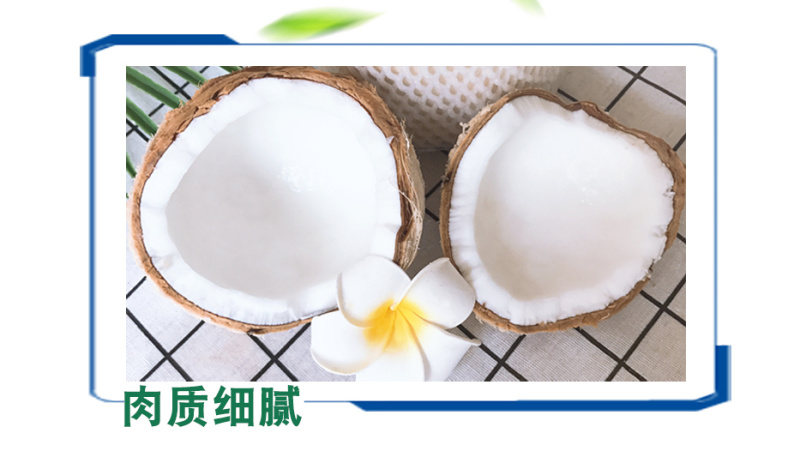 海南椰子椰青自家加工厂做得就是品质让客户买的放心喝的舒心