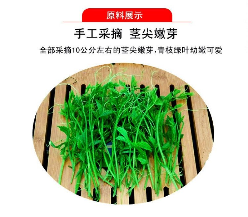 精品特级龙须绞股蓝正品绞股蓝纯嫩芽手工采摘