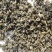 2019年新茉莉花茶龙珠王批发零售