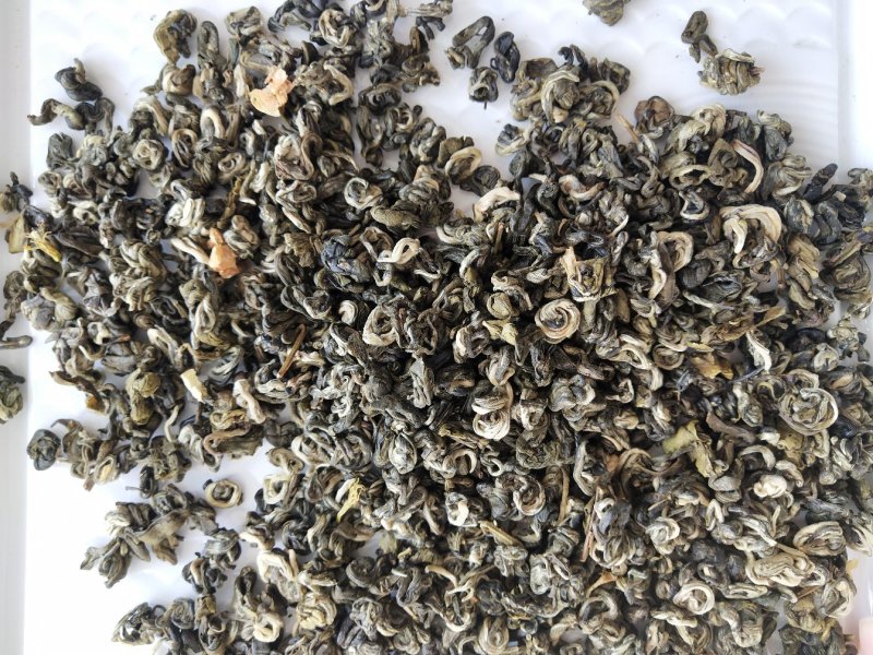 2019年新茉莉花茶龙珠王批发零售