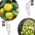 【^_^联系有惊喜】宜昌蜜橘，产地直供，量大价优