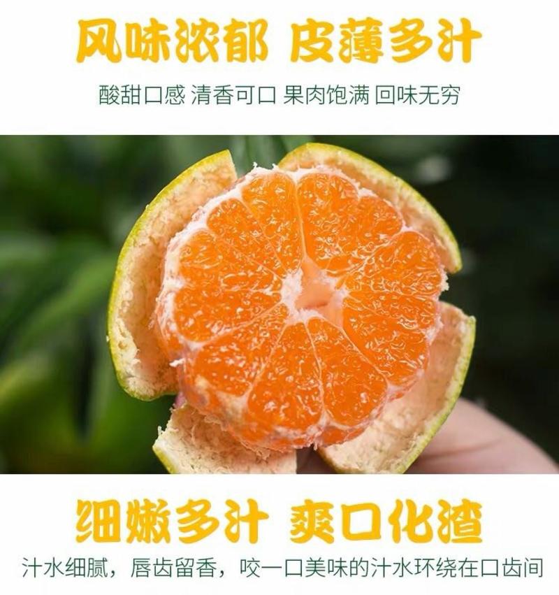 【^_^联系有惊喜】宜昌蜜橘，产地直供，量大价优