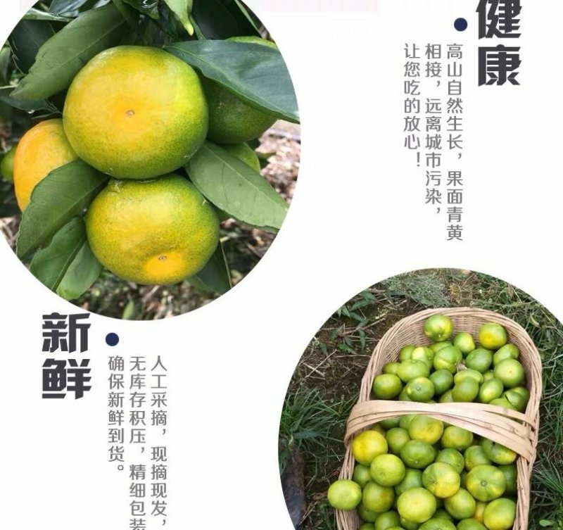 【^_^联系有惊喜】宜昌蜜橘，产地直供，一手货源。