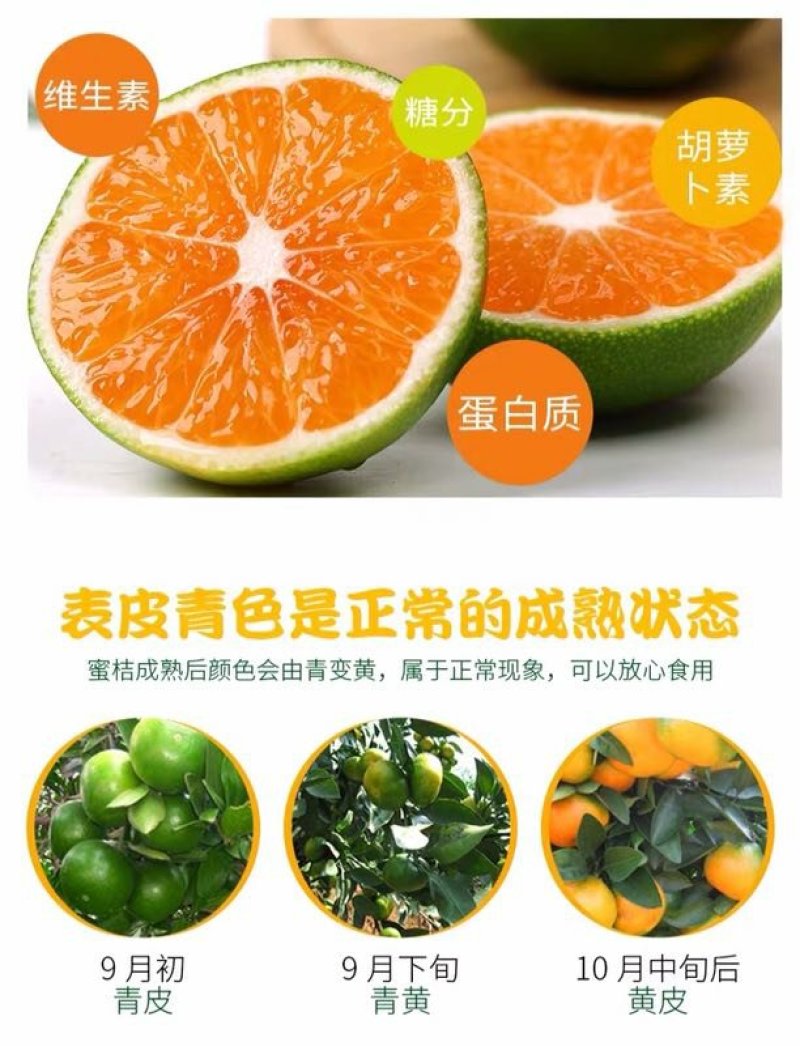 【^_^联系有惊喜】宜昌蜜橘，产地直供，一手货源。