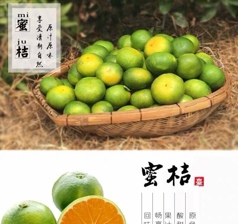 【^_^联系有惊喜】宜昌蜜橘，产地直供，一手货源。