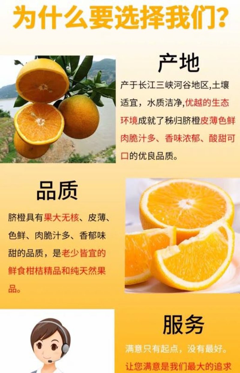 【^_^联系有惊喜】秭归脐橙，产地直供