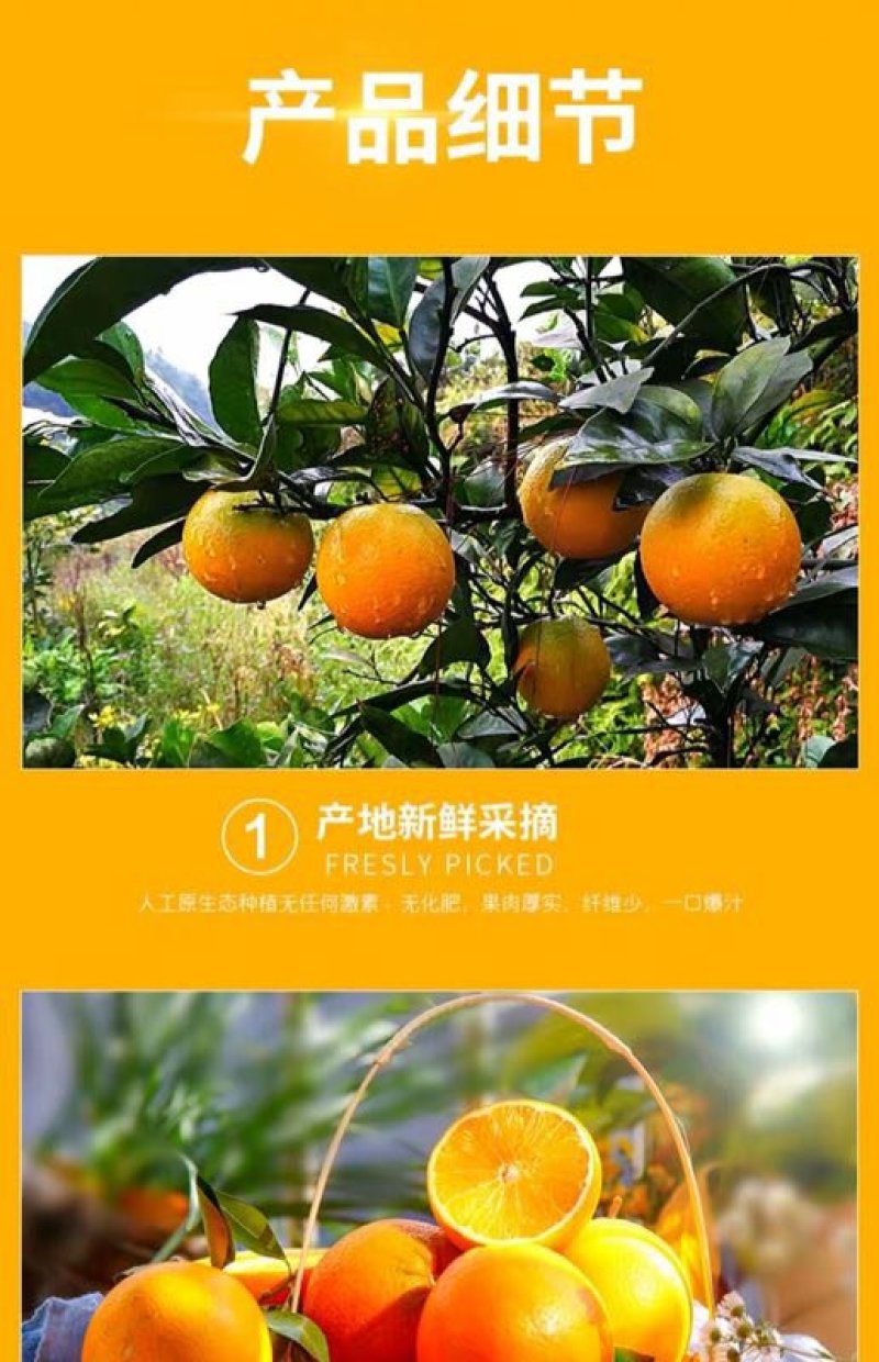 【^_^联系有惊喜】秭归脐橙，产地直供