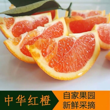 【^_^联系有惊喜】秭归中华红，产地直供诚信经营