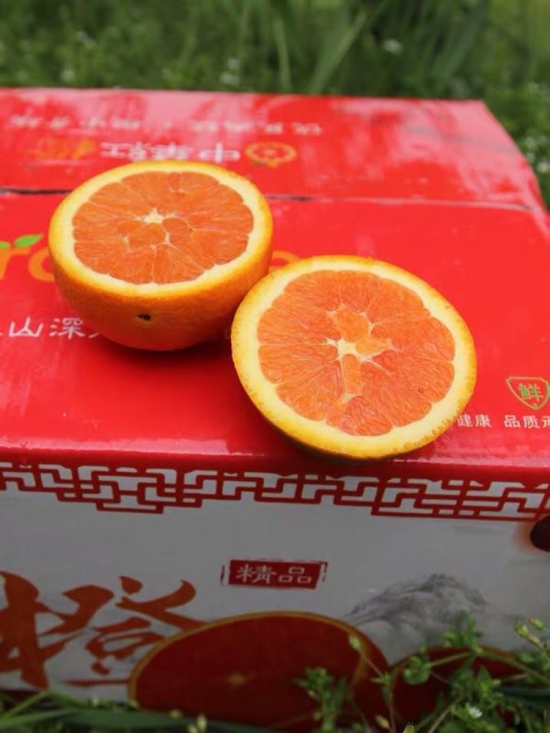 【^_^联系有惊喜】秭归中华红，产地直供诚信经营