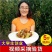 山东沾化冬枣鲜枣脆枣富硒冬枣现摘现发特级