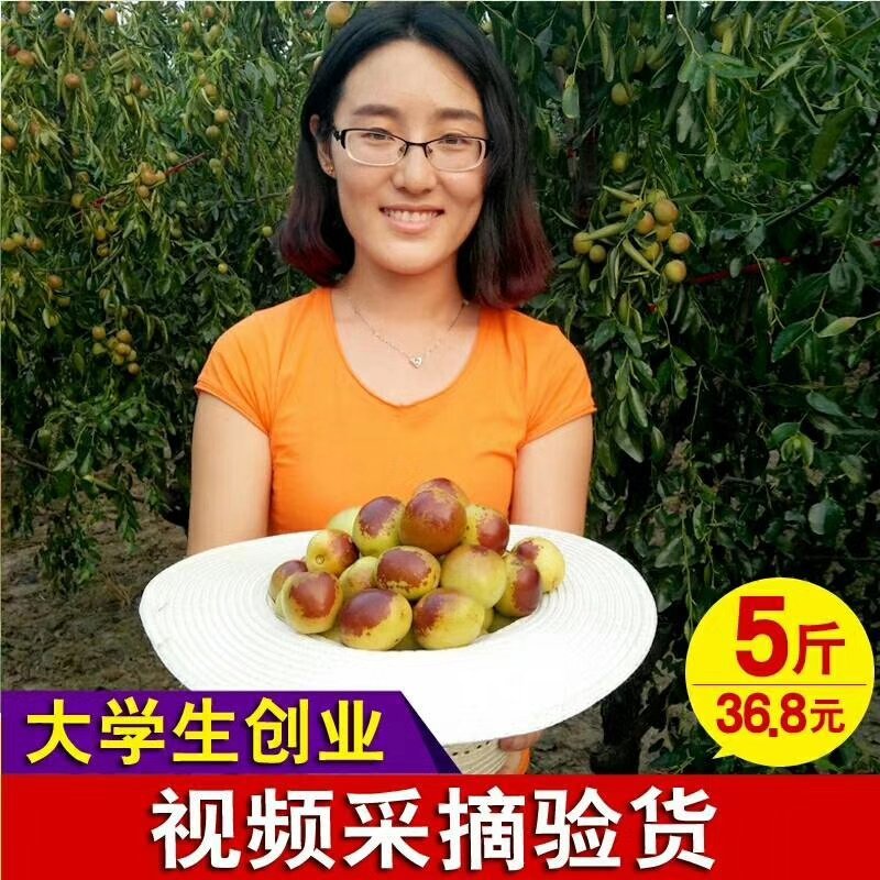 山东沾化冬枣鲜枣脆枣富硒冬枣现摘现发特级