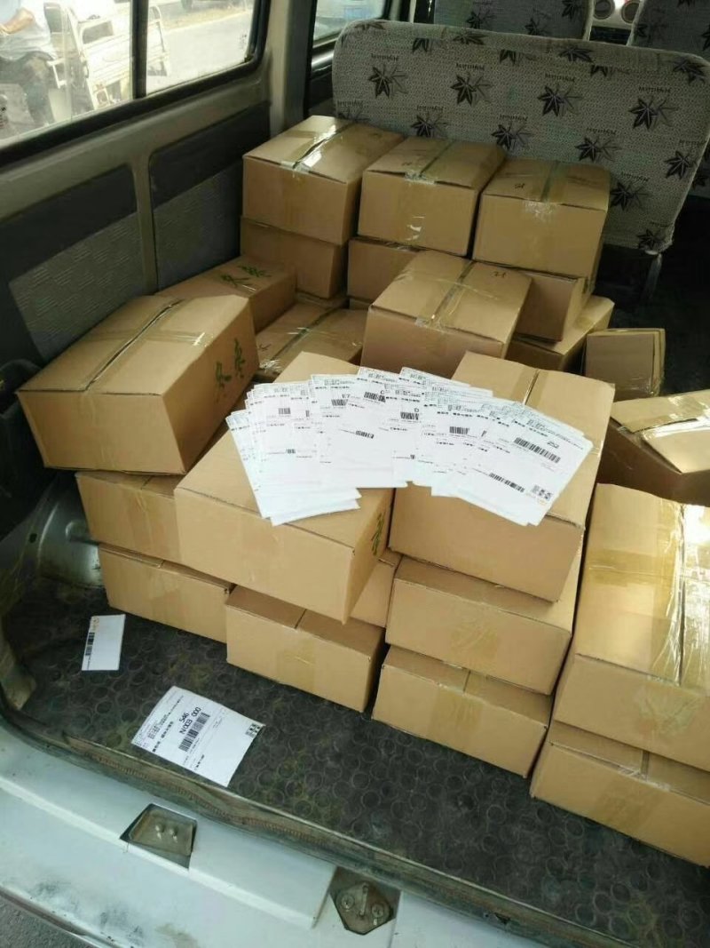 山东沾化冬枣鲜枣脆枣富硒冬枣现摘现发特级