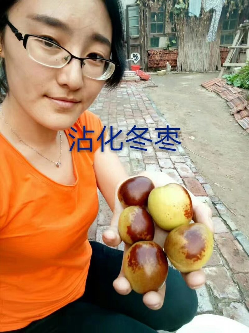 山东沾化冬枣鲜枣脆枣富硒冬枣现摘现发特级