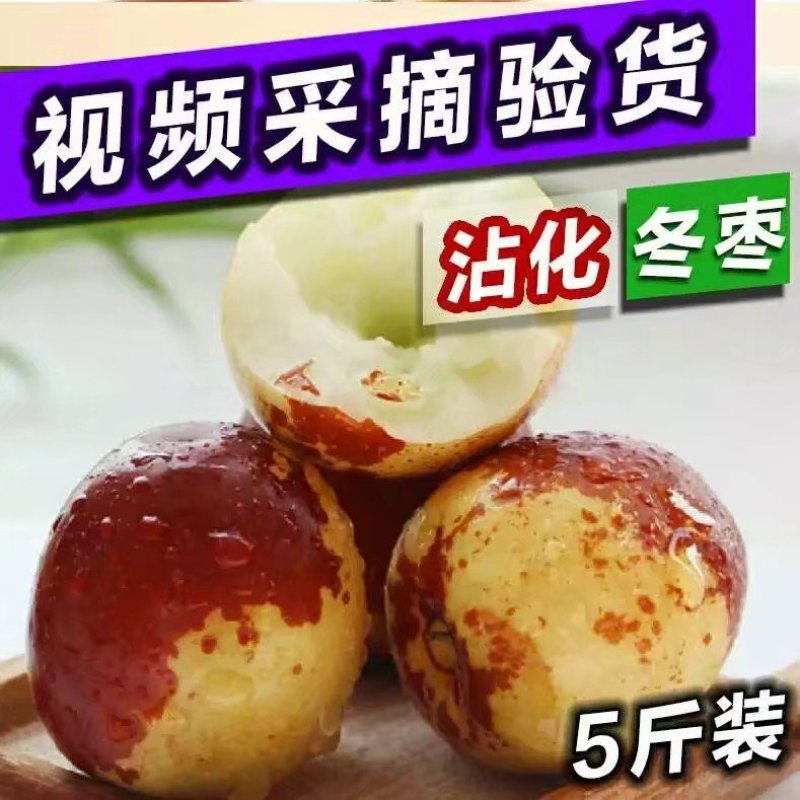 山东沾化冬枣鲜枣脆枣富硒冬枣现摘现发特级