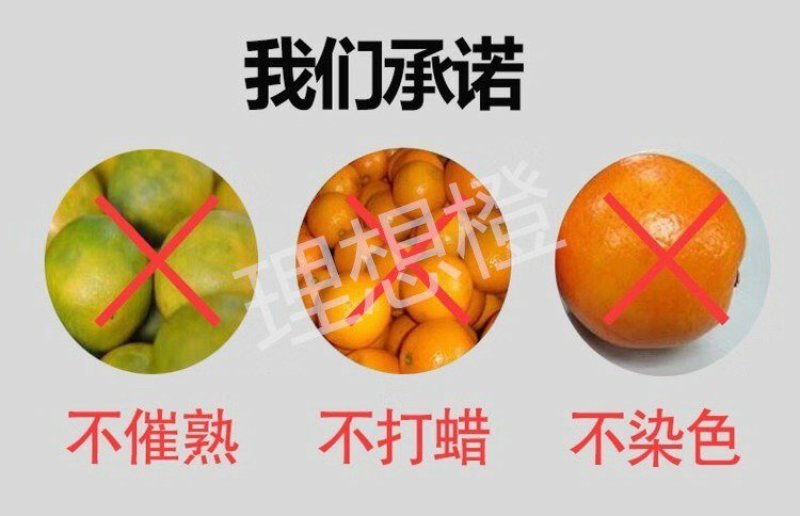 【宜昌秭归】新鲜九月红高次，九月红精品小果纽荷尔榨汁果