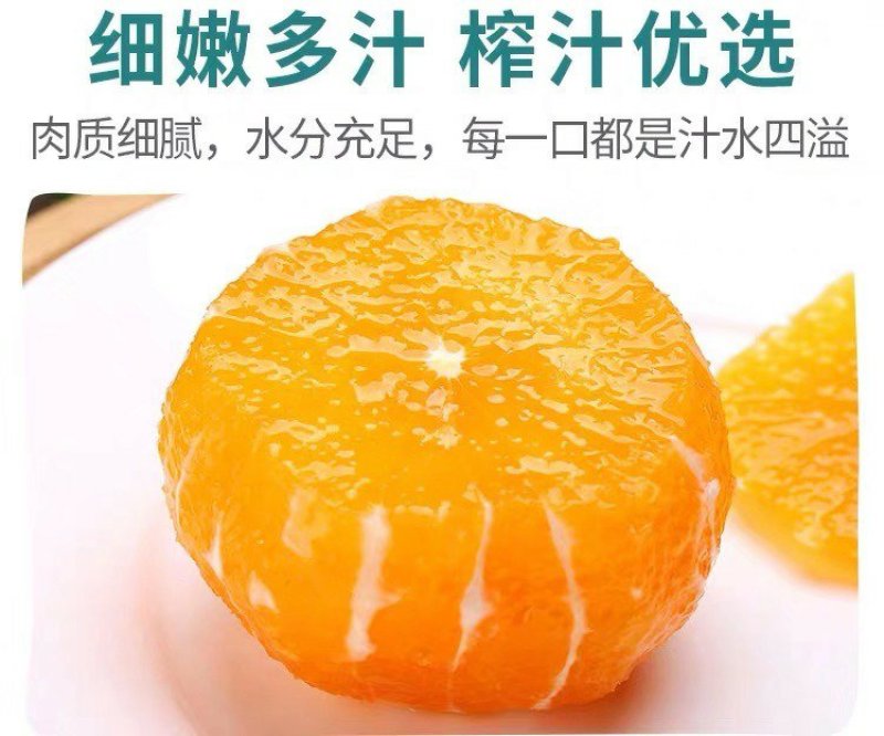 【^_^联系有惊喜】宜昌秭归九月红，产地直供诚信经营