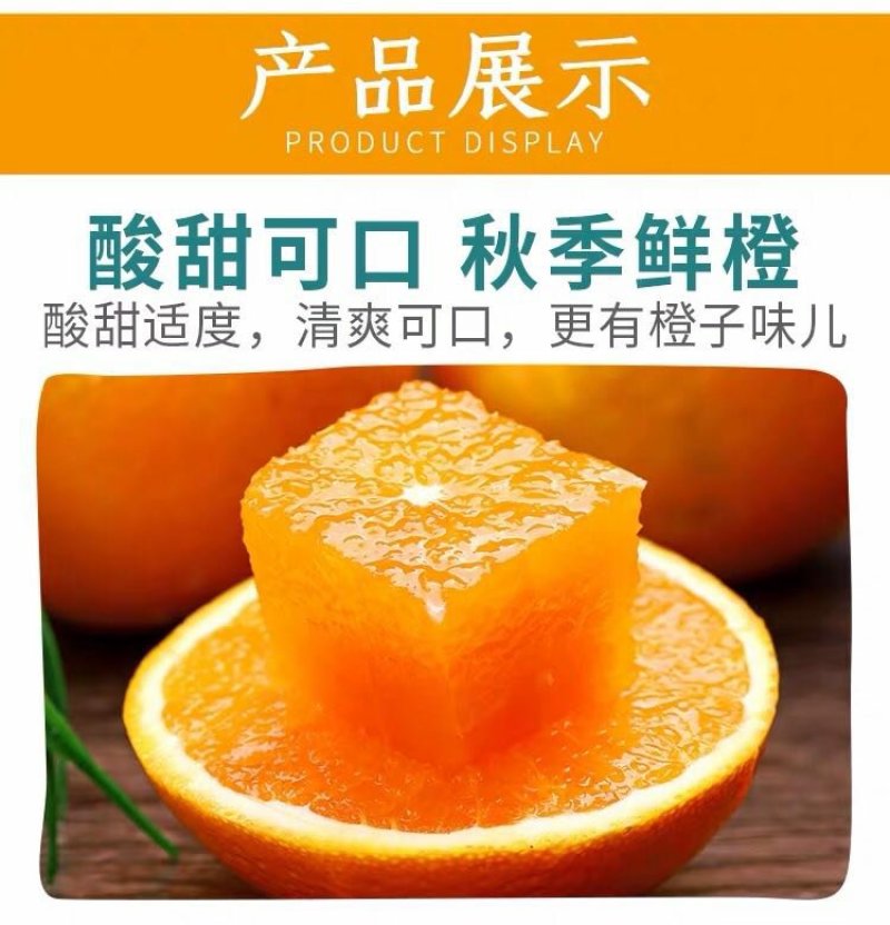 【^_^联系有惊喜】宜昌秭归九月红，产地直供诚信经营