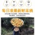 【^_^联系有惊喜】宜昌秭归九月红，产地直供诚信经营
