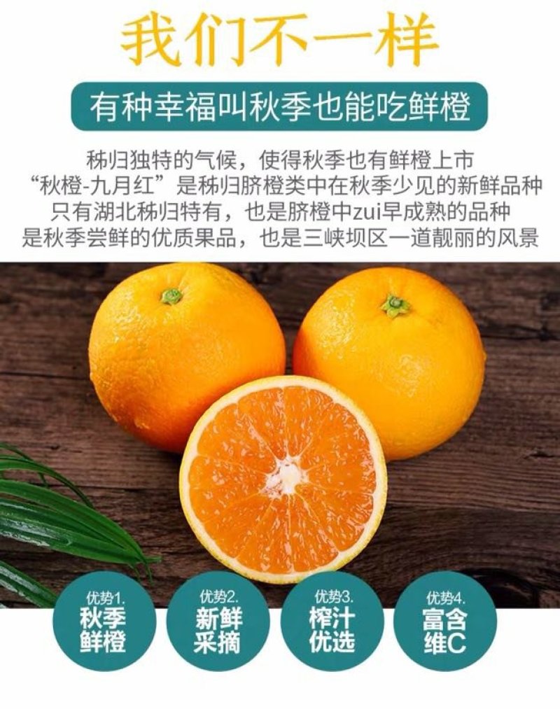 【^_^联系有惊喜】宜昌秭归九月红，产地直供诚信经营