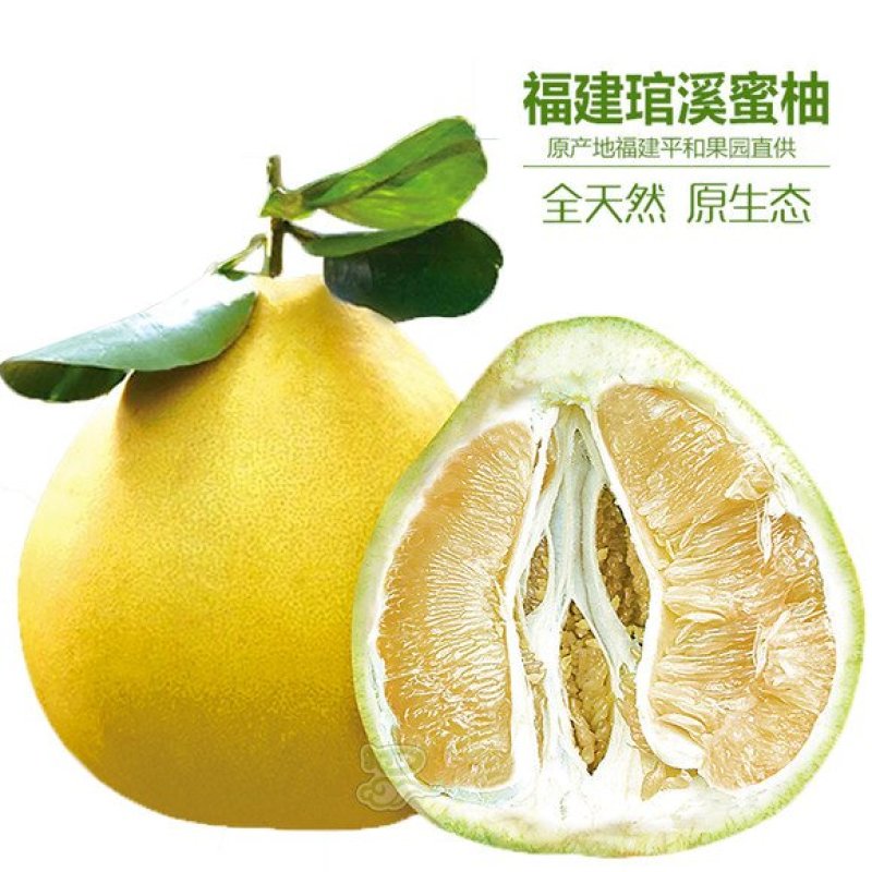 白柚