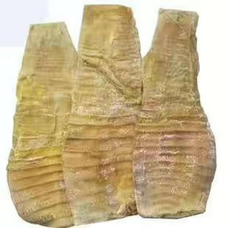 新鲜冬笋丶大量上市丶欢迎合作。