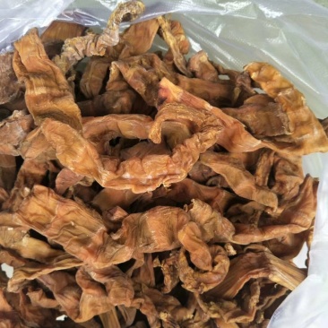 方竹笋干