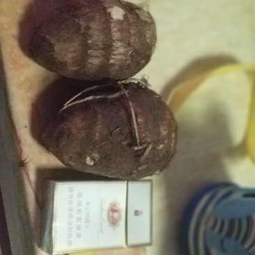 毛芋头大量上市