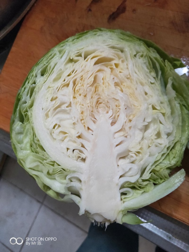 甘蓝