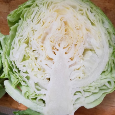 甘蓝