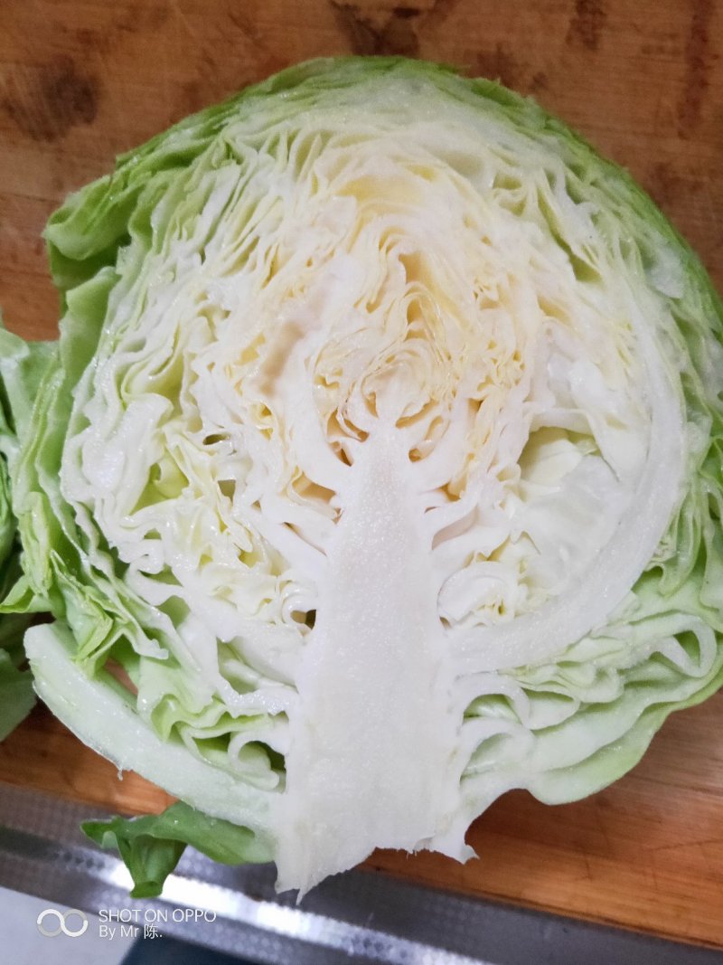甘蓝