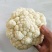 菜花1~2斤紧花乳白产地供应四季有货