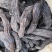 无硫原装硬质肉苁蓉大芸各种中药材新货