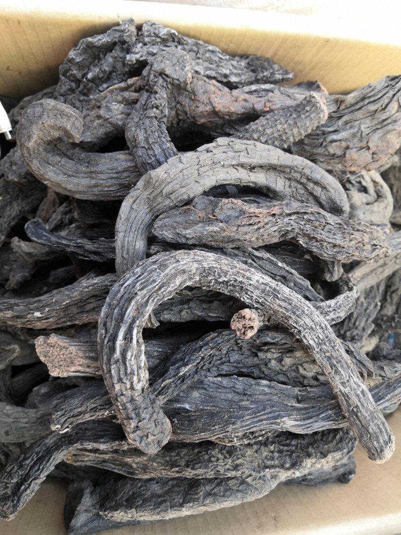无硫原装硬质肉苁蓉大芸各种中药材新货