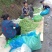 安徽宣城高山四季豆大量供应产地直发视频看货
