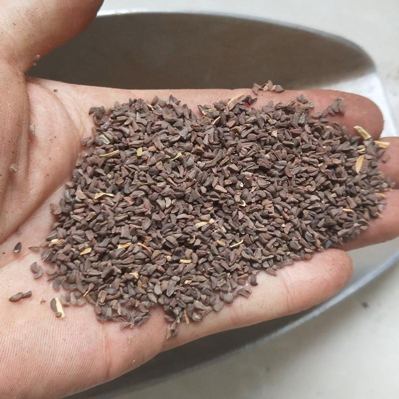 骆驼蓬子,道地药材，质优价实，品质保证，药典标准一公斤起