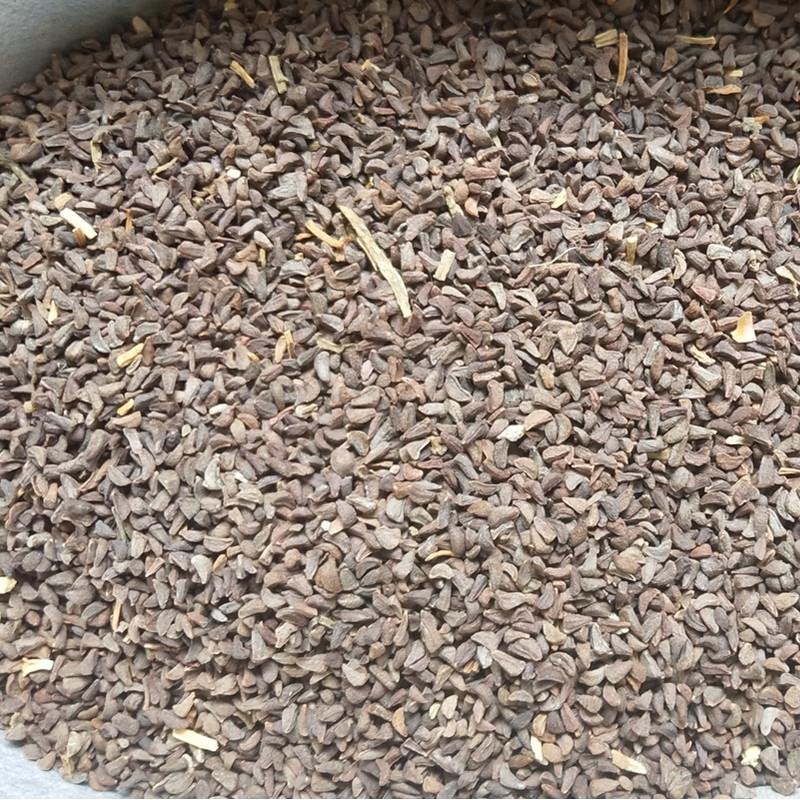 骆驼蓬子,道地药材，质优价实，品质保证，药典标准一公斤起