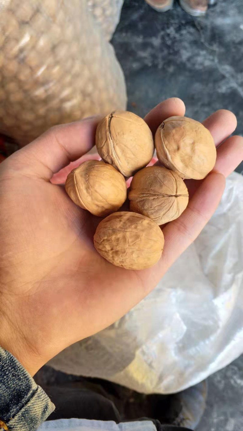隘口薄皮核桃35到40，25到30核桃