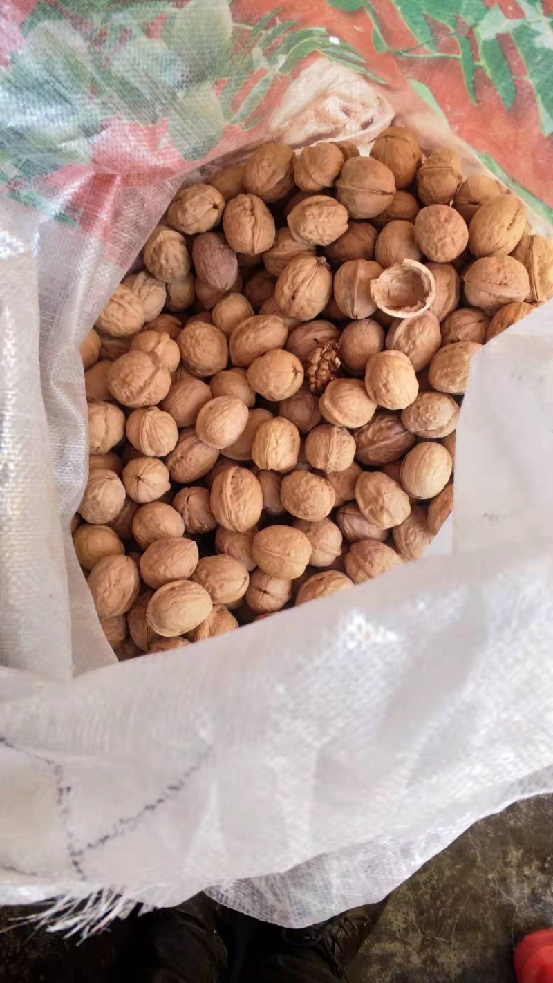 隘口薄皮核桃35到40，25到30核桃