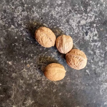 隘口薄皮核桃35到40，25到30核桃