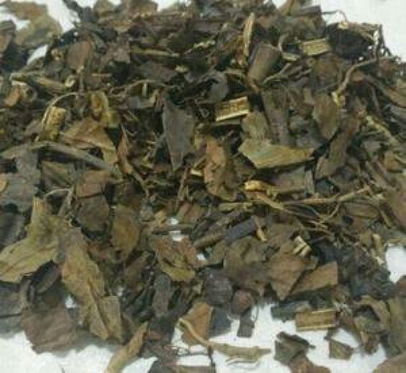 草珊瑚千余品种供应承接订单