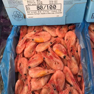 北极熊冰虾