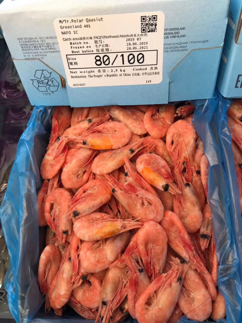 北极熊冰虾